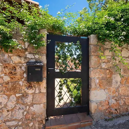 Giani Chania